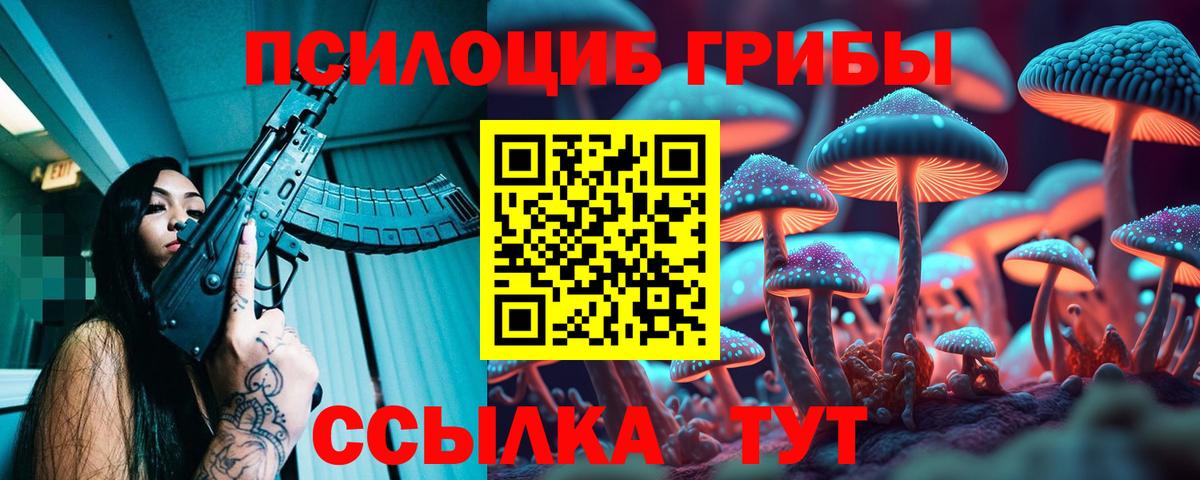 Галлюциногенные грибы Cubensis  где купить наркотик  Полевской  Псилоцибиновые грибы мухоморы  Вход с VPN 